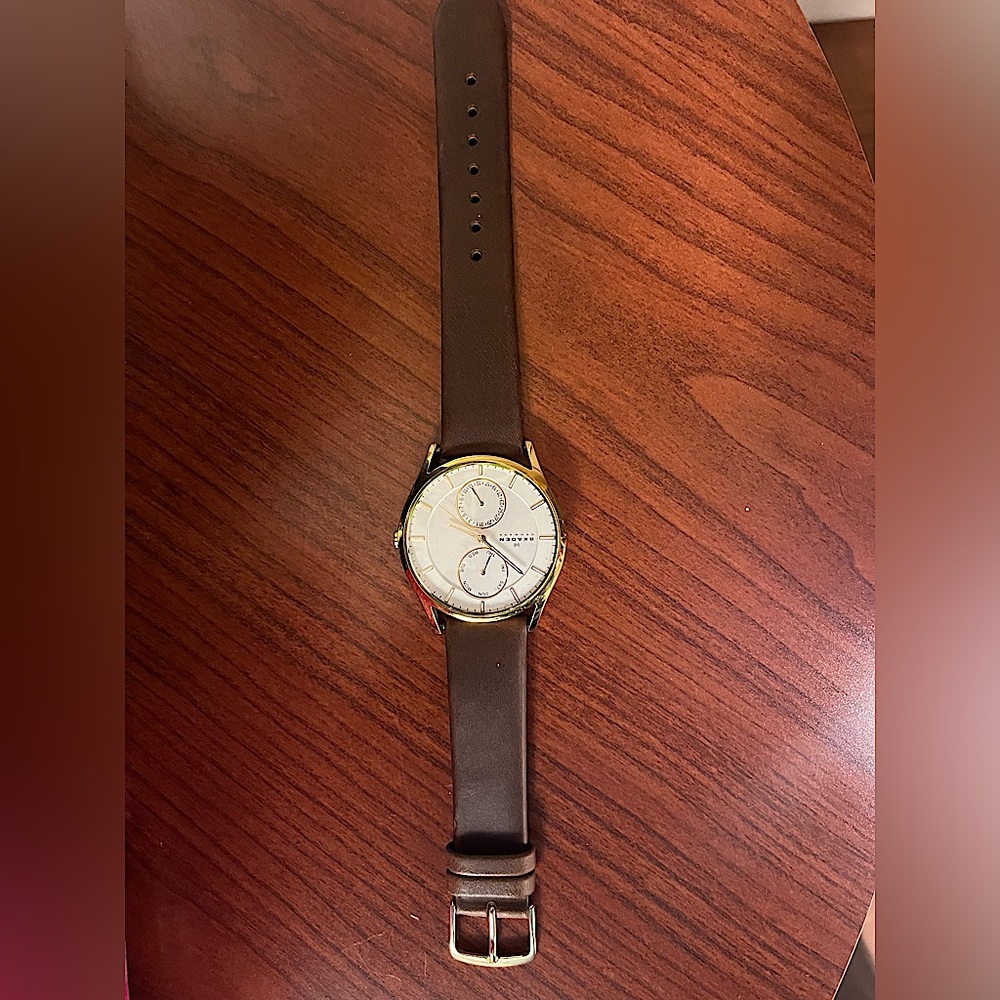 Skagen watch